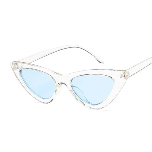 Gafas de sol - Walker Cat